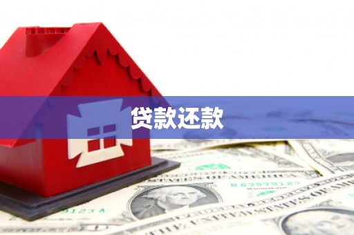 曲麻莱贷款还款