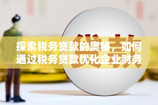 曲麻莱探索税务贷款的奥秘，如何通过税务贷款优化企业财务
