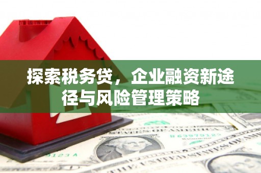 曲麻莱探索税务贷，企业融资新途径与风险管理策略