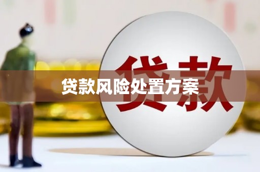曲麻莱贷款风险处置方案