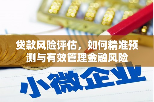 曲麻莱贷款风险评估，如何精准预测与有效管理金融风险