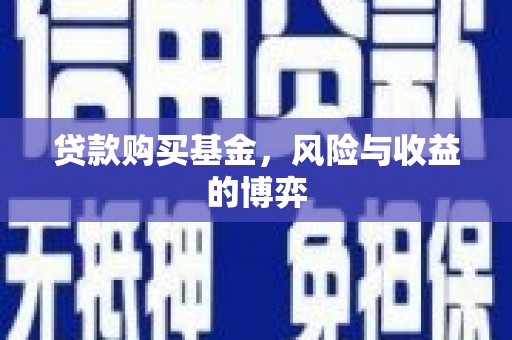 曲麻莱贷款购买基金，风险与收益的博弈