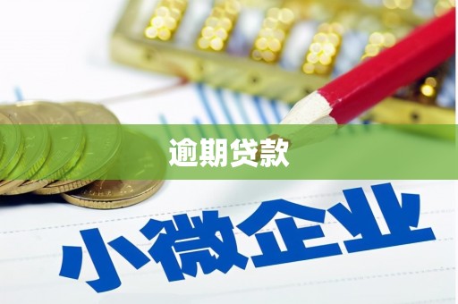 曲麻莱逾期贷款