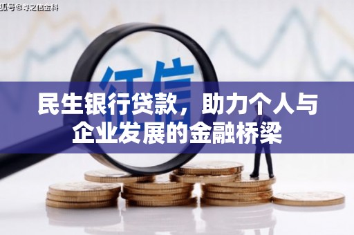 曲麻莱民生银行贷款，助力个人与企业发展的金融桥梁