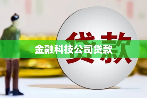 曲麻莱金融科技公司贷款