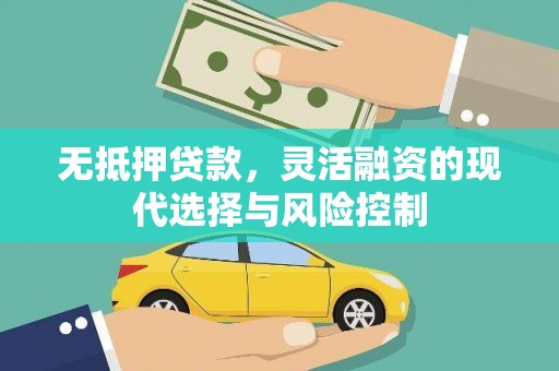 曲麻莱无抵押贷款，灵活融资的现代选择与风险控制