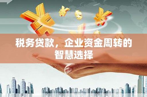 曲麻莱税务贷款，企业资金周转的智慧选择