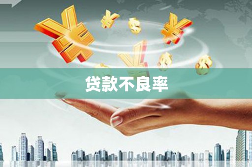 曲麻莱贷款不良率