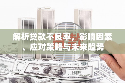 曲麻莱解析贷款不良率，影响因素、应对策略与未来趋势