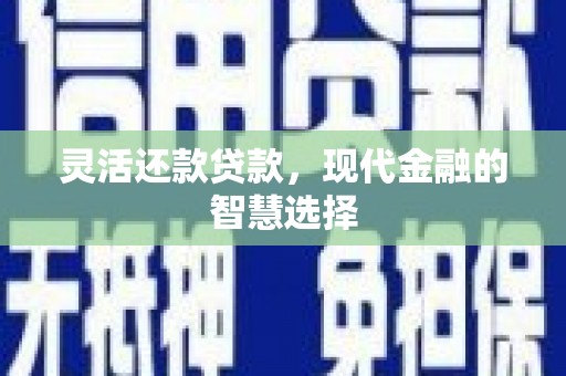 曲麻莱灵活还款贷款，现代金融的智慧选择