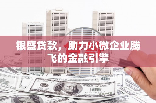 曲麻莱银盛贷款，助力小微企业腾飞的金融引擎