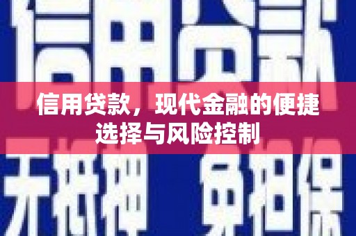 曲麻莱信用贷款，现代金融的便捷选择与风险控制