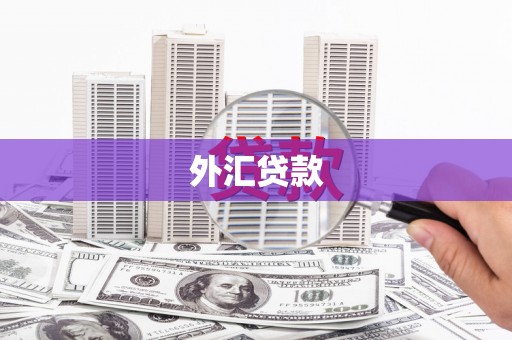曲麻莱外汇贷款