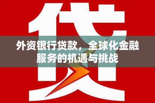 曲麻莱外资银行贷款，全球化金融服务的机遇与挑战