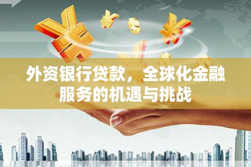 曲麻莱外资银行贷款，全球化金融服务的机遇与挑战