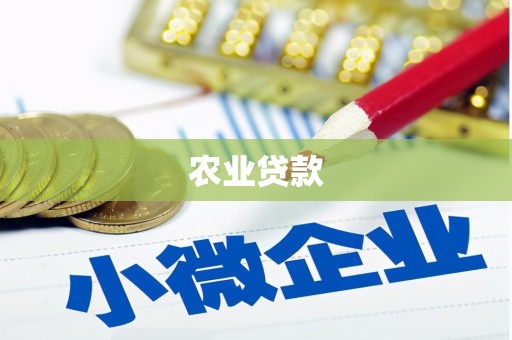 曲麻莱农业贷款