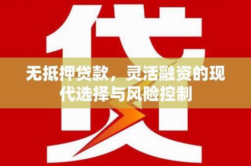 曲麻莱无抵押贷款，灵活融资的现代选择与风险控制