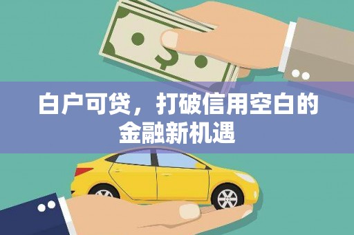 曲麻莱白户可贷，打破信用空白的金融新机遇