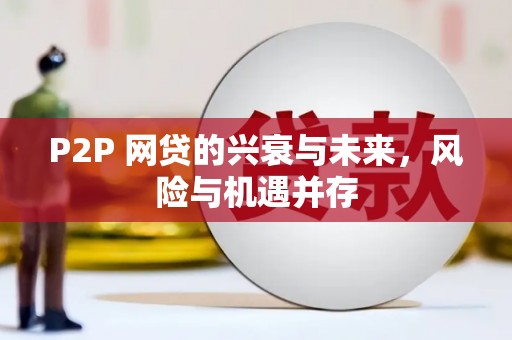 曲麻莱P2P 网贷的兴衰与未来，风险与机遇并存