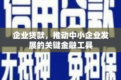 曲麻莱企业贷款，推动中小企业发展的关键金融工具