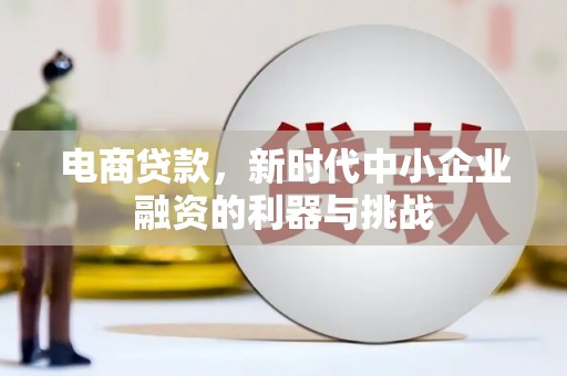 曲麻莱电商贷款，新时代中小企业融资的利器与挑战