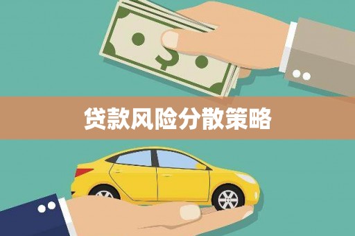 曲麻莱贷款风险分散策略