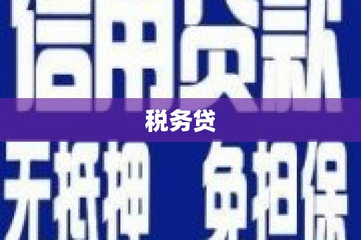 曲麻莱税务贷