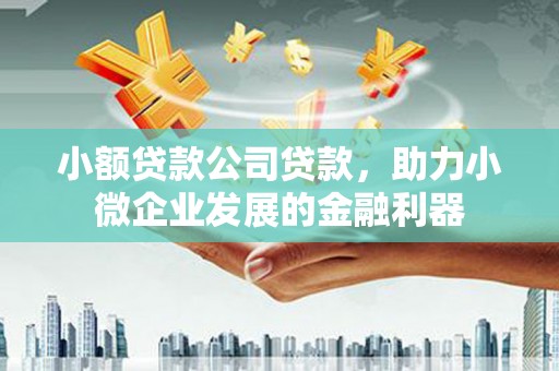 曲麻莱小额贷款公司贷款，助力小微企业发展的金融利器