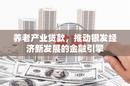 曲麻莱养老产业贷款，推动银发经济新发展的金融引擎