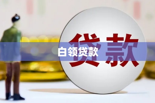 曲麻莱白领贷款