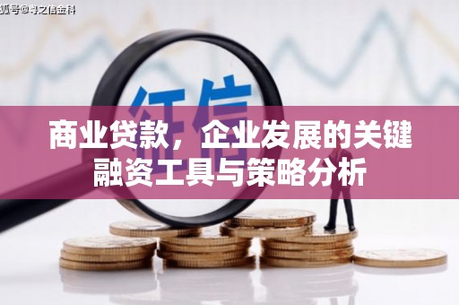 曲麻莱商业贷款，企业发展的关键融资工具与策略分析