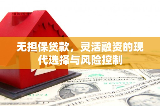 曲麻莱无担保贷款，灵活融资的现代选择与风险控制
