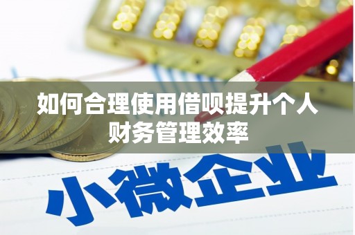 曲麻莱如何合理使用借呗提升个人财务管理效率