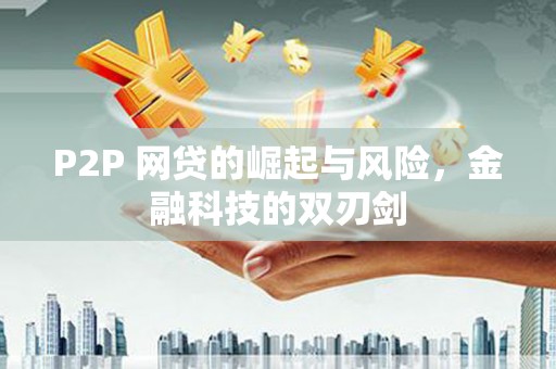 曲麻莱P2P 网贷的崛起与风险，金融科技的双刃剑
