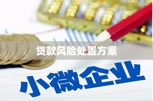 曲麻莱贷款风险处置方案
