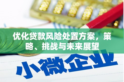 曲麻莱优化贷款风险处置方案，策略、挑战与未来展望