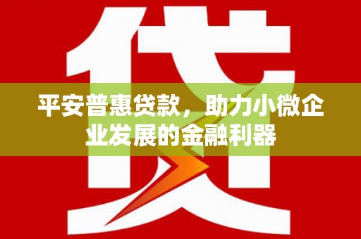 曲麻莱平安普惠贷款，助力小微企业发展的金融利器