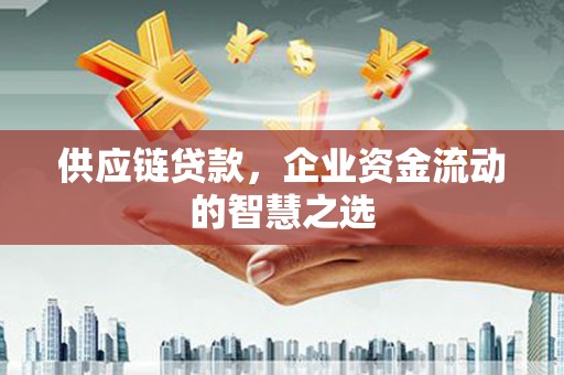 曲麻莱供应链贷款，企业资金流动的智慧之选