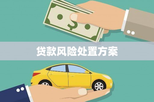 曲麻莱贷款风险处置方案