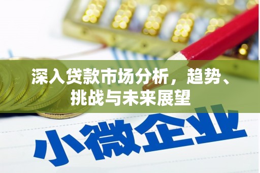 曲麻莱深入贷款市场分析，趋势、挑战与未来展望