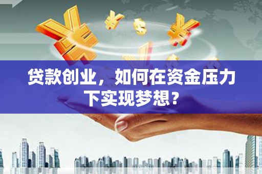 曲麻莱贷款创业，如何在资金压力下实现梦想？