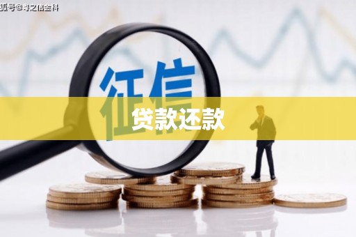 曲麻莱贷款还款