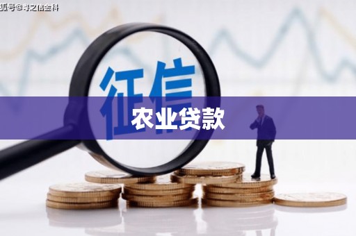 曲麻莱农业贷款