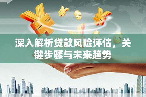 曲麻莱深入解析贷款风险评估，关键步骤与未来趋势