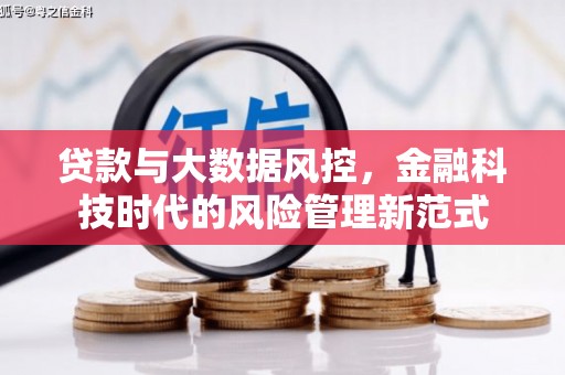 曲麻莱贷款与大数据风控，金融科技时代的风险管理新范式