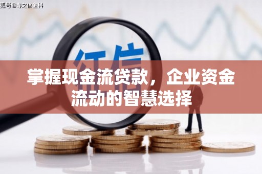 曲麻莱掌握现金流贷款，企业资金流动的智慧选择