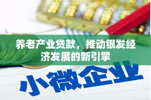 曲麻莱养老产业贷款，推动银发经济发展的新引擎