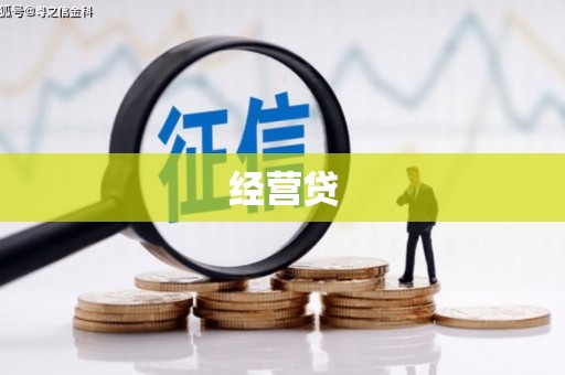 曲麻莱经营贷