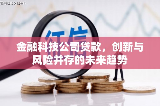 曲麻莱金融科技公司贷款，创新与风险并存的未来趋势
