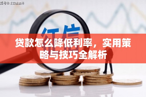 曲麻莱贷款怎么降低利率，实用策略与技巧全解析